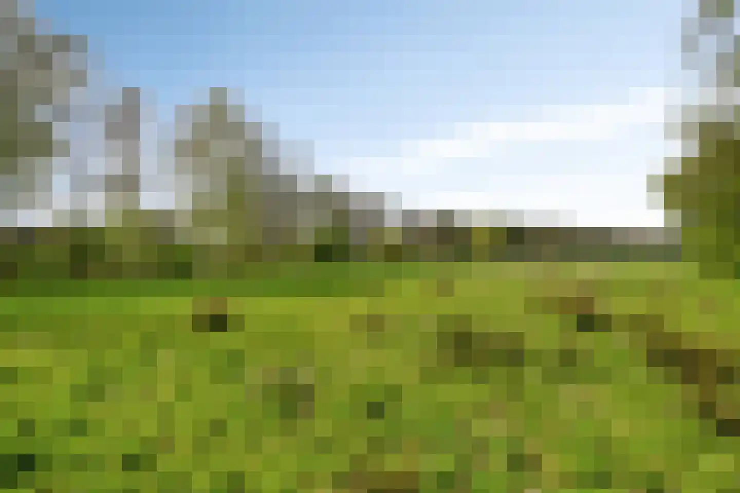 Gorsveldweg 30 Bentelo thumbnail 5