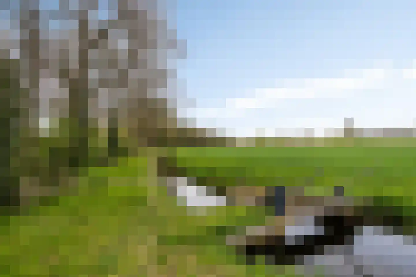 Gorsveldweg 30 Bentelo thumbnail 7