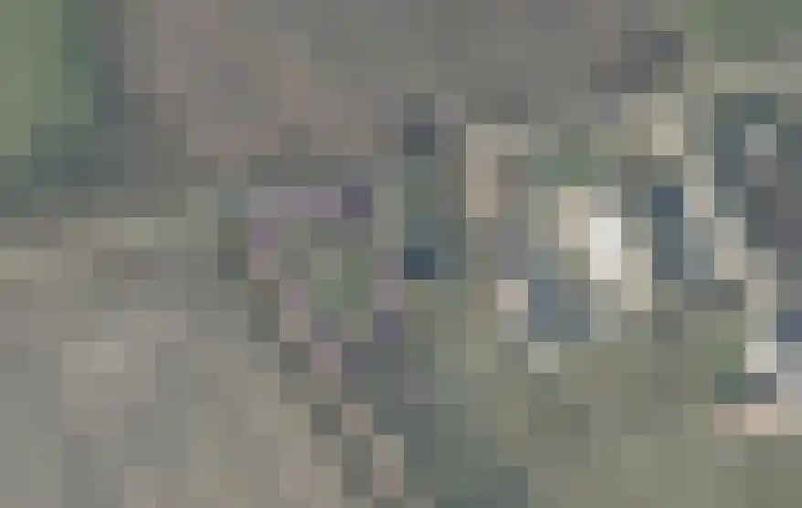Gorsveldweg 30 Bentelo thumbnail 8