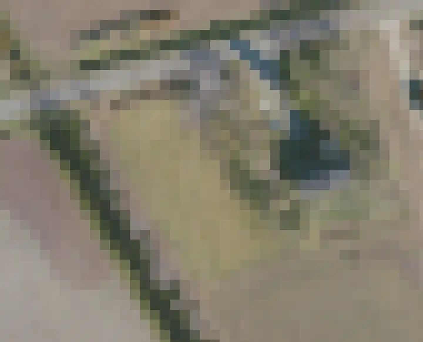 Gorsveldweg 30 Bentelo thumbnail 9