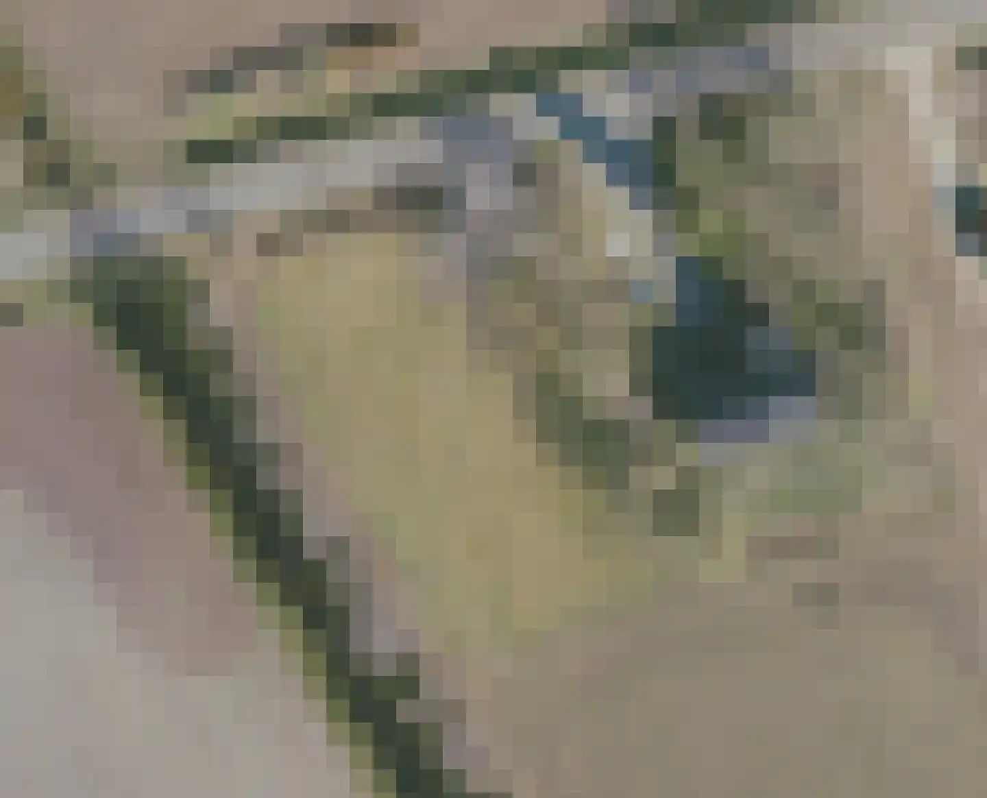 Gorsveldweg 30 Bentelo thumbnail 9