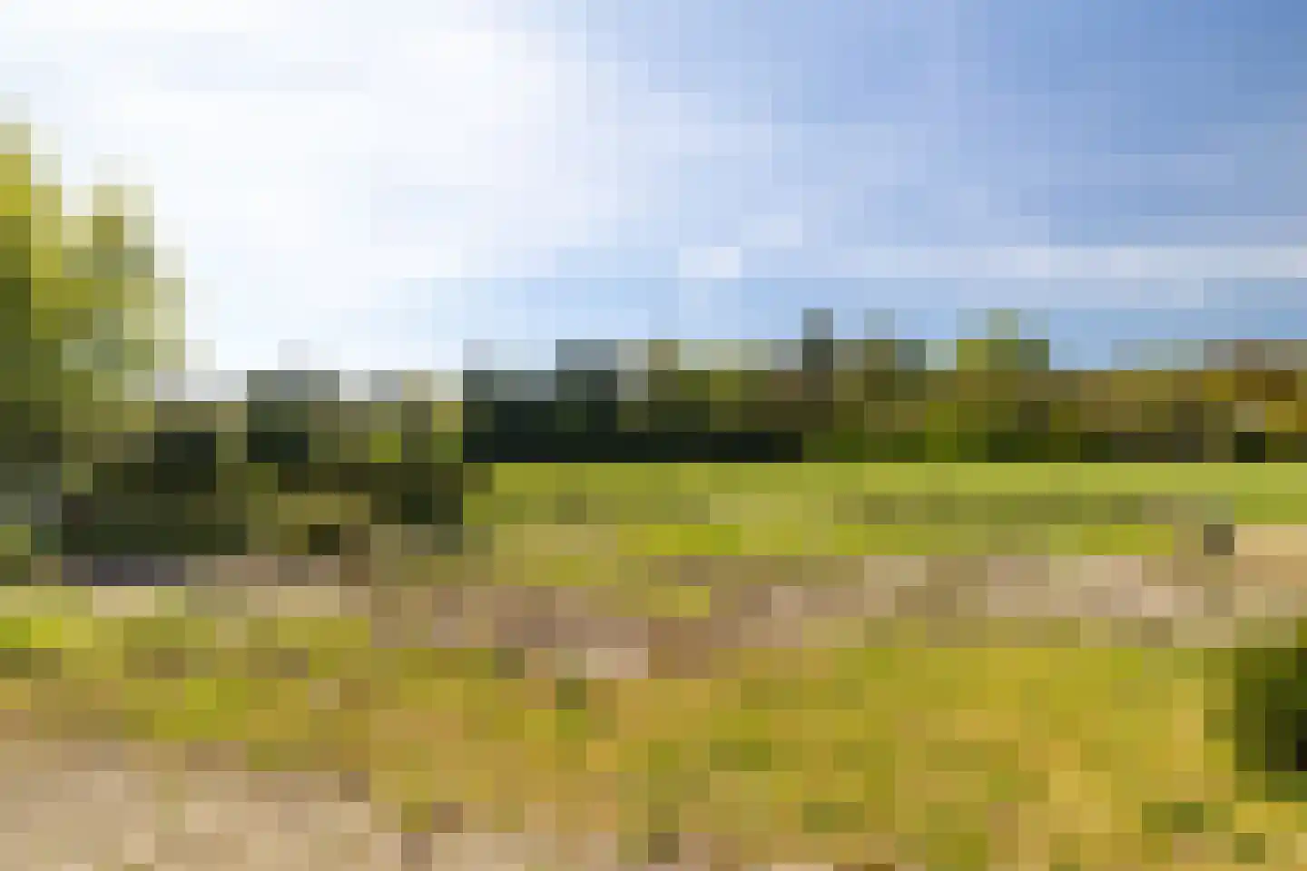 Gortelseweg 27 Vierhouten thumbnail 10