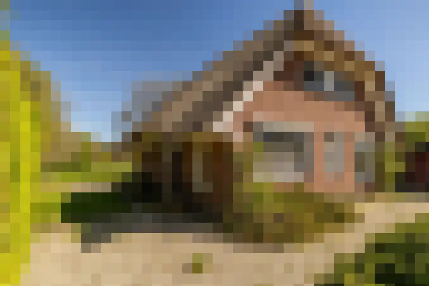 Gortelseweg 27 Vierhouten thumbnail 11