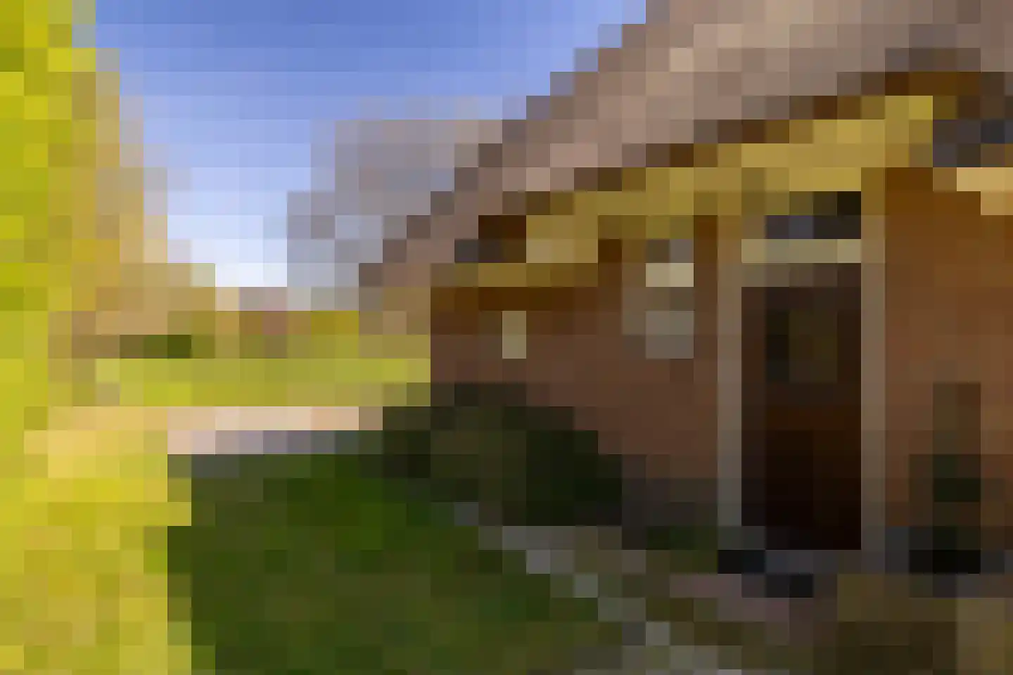 Gortelseweg 27 Vierhouten thumbnail 12