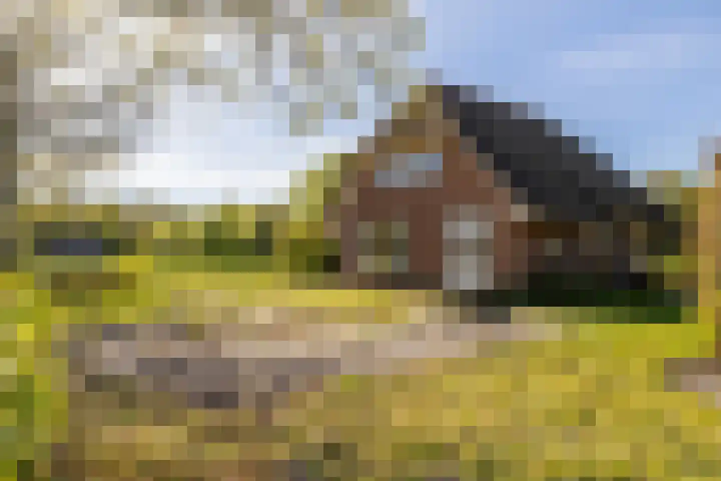Gortelseweg 27 Vierhouten thumbnail 16