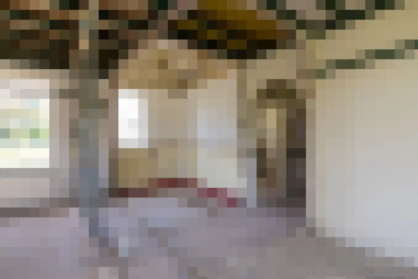 Gortelseweg 27 Vierhouten thumbnail 34