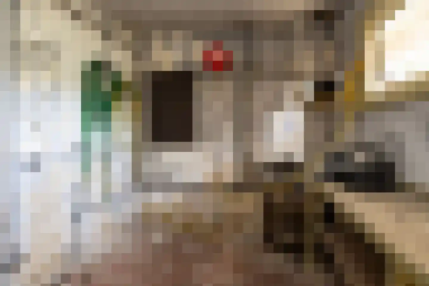 Gortelseweg 27 Vierhouten thumbnail 37