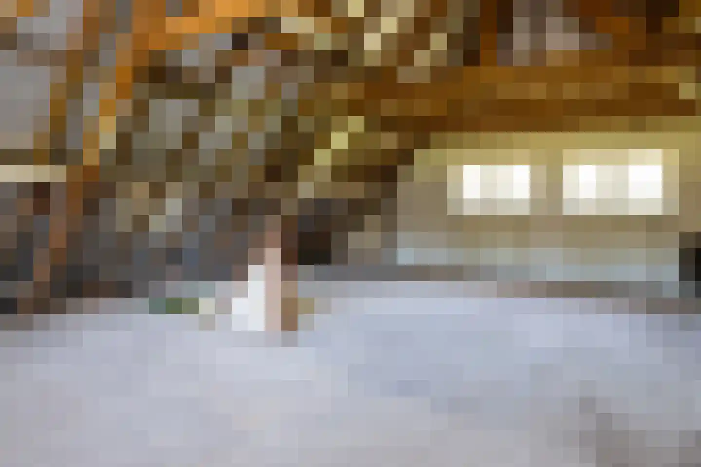 Gortelseweg 27 Vierhouten thumbnail 41
