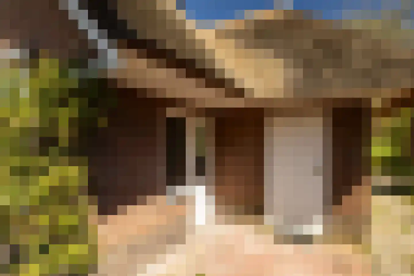 Gortelseweg 27 Vierhouten thumbnail 8