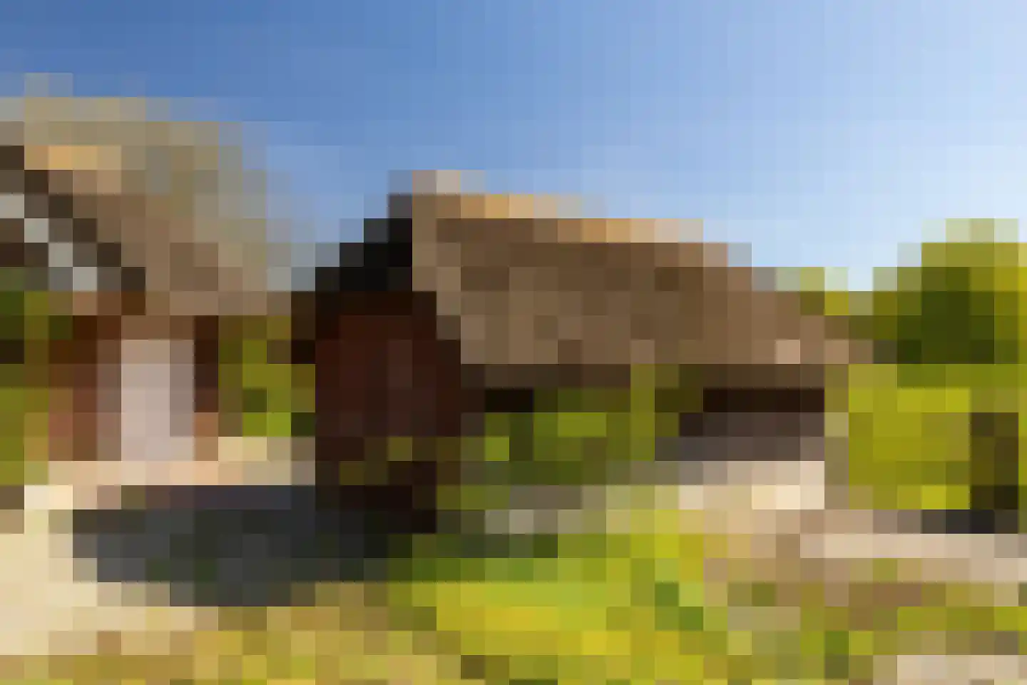 Gortelseweg 27 Vierhouten thumbnail 9