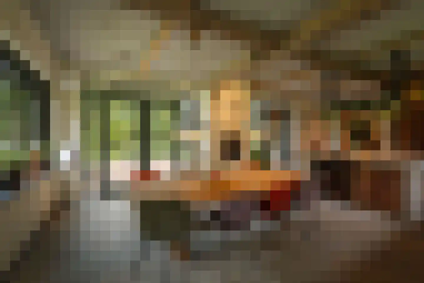 Gortelseweg 35 Vaassen thumbnail 22
