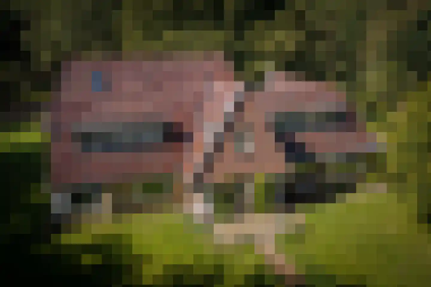 Gortelseweg 35 Vaassen thumbnail 4