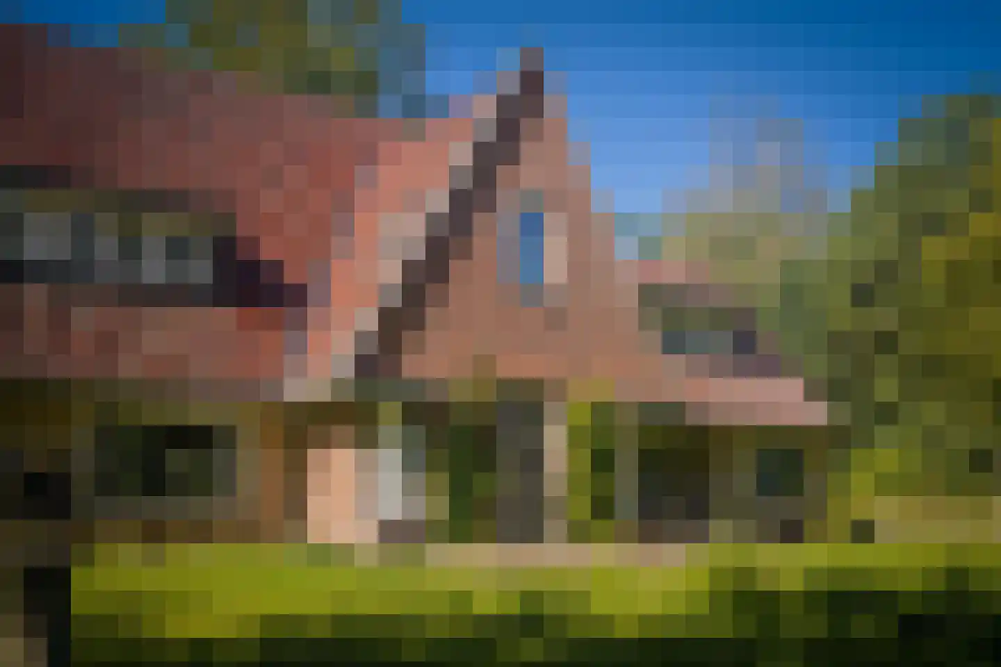 Gortelseweg 35 Vaassen thumbnail 43