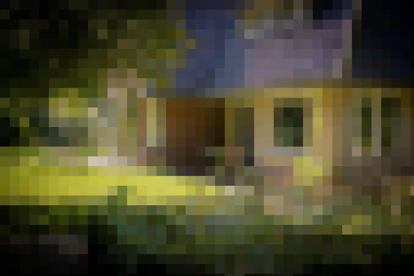 Gortelseweg 35 Vaassen thumbnail 44