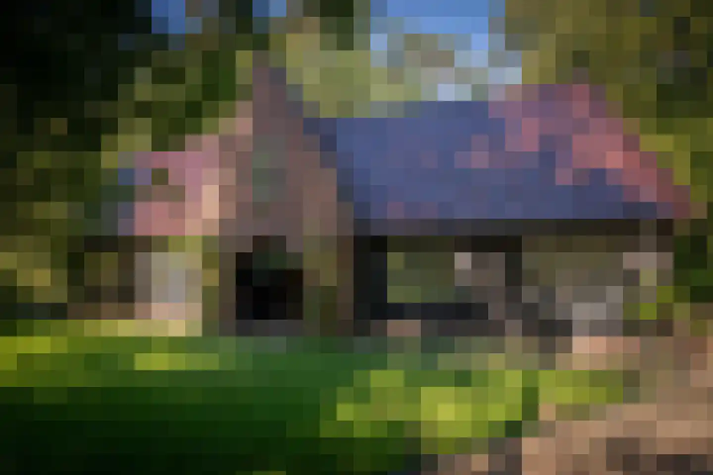 Gortelseweg 35 Vaassen thumbnail 45