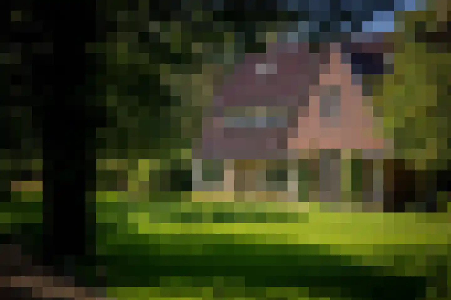 Gortelseweg 35 Vaassen thumbnail 47