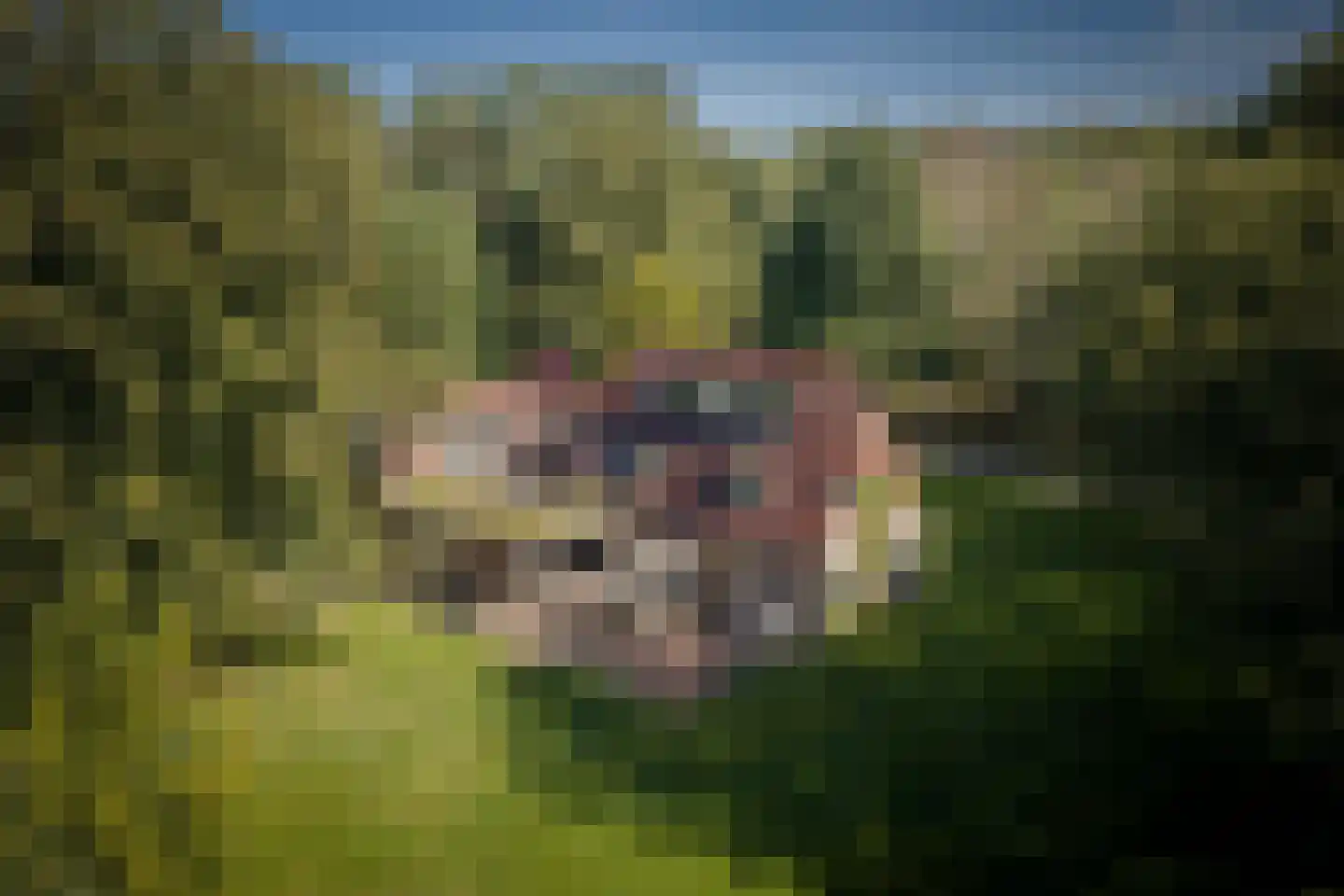 Gortelseweg 35 Vaassen thumbnail 5