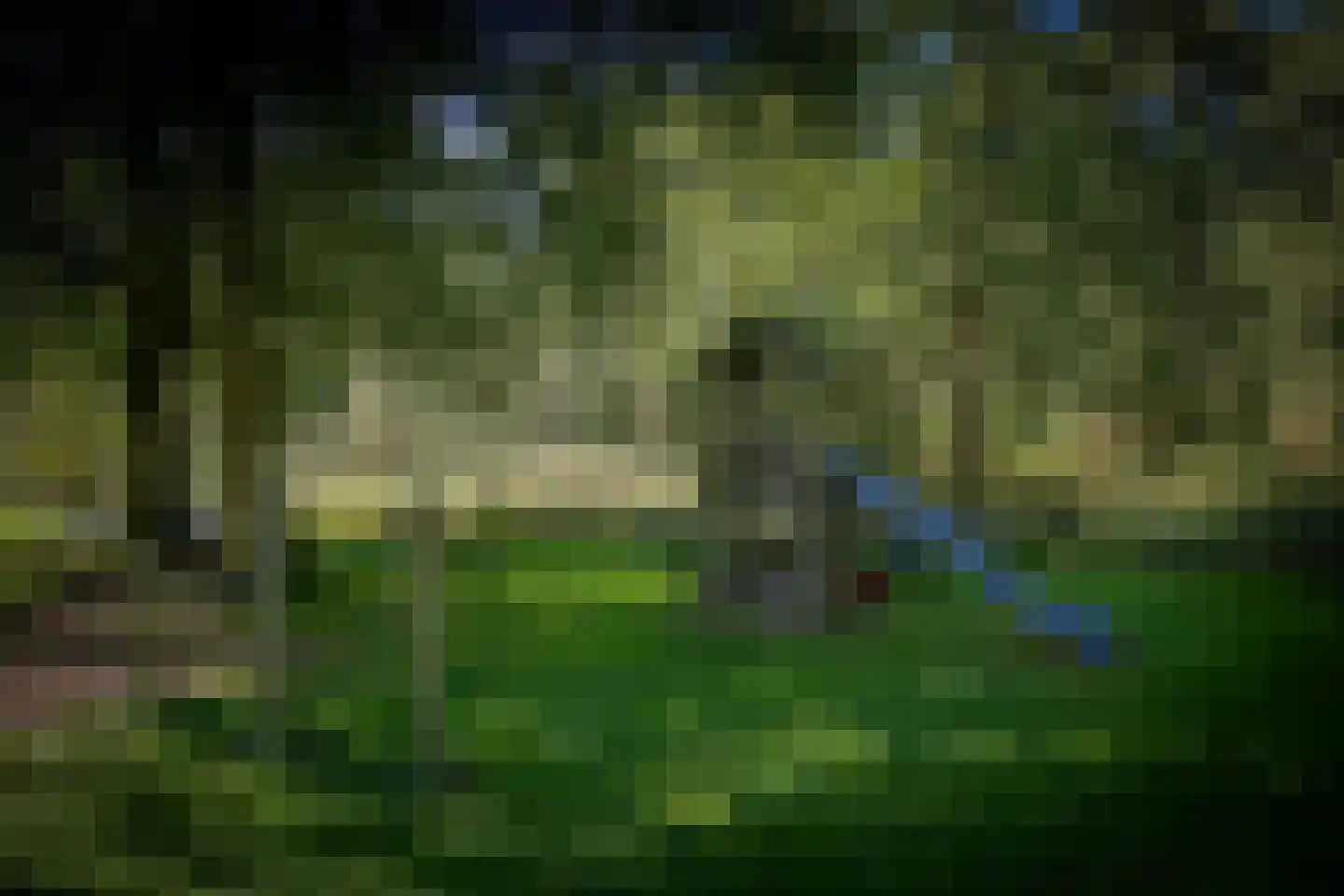Gortelseweg 35 Vaassen thumbnail 53