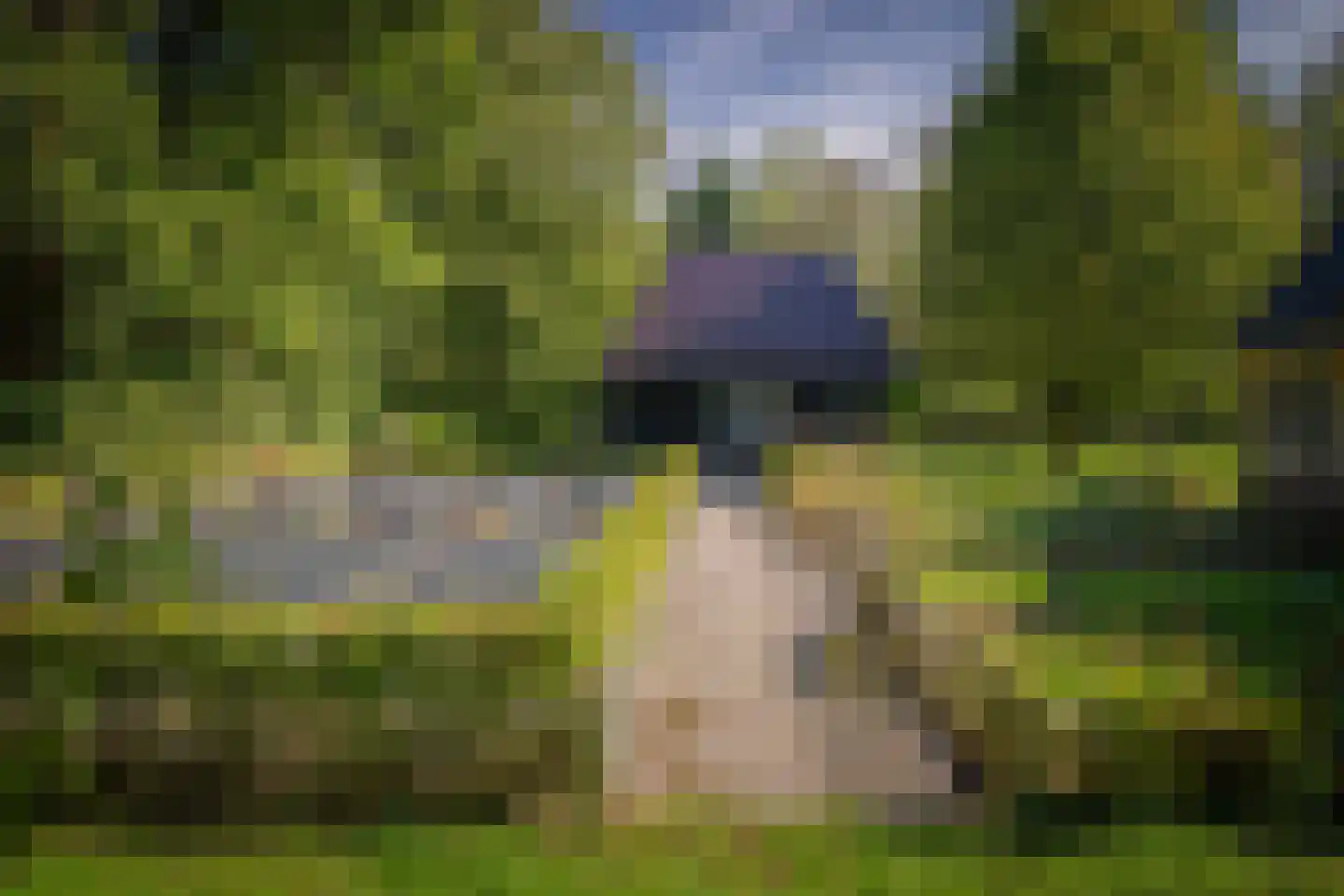 Gortelseweg 35 Vaassen thumbnail 54