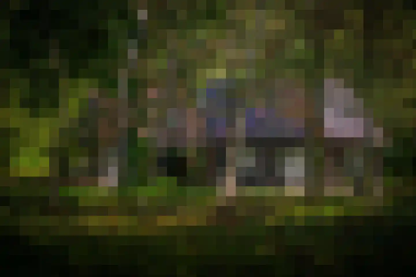 Gortelseweg 35 Vaassen thumbnail 56