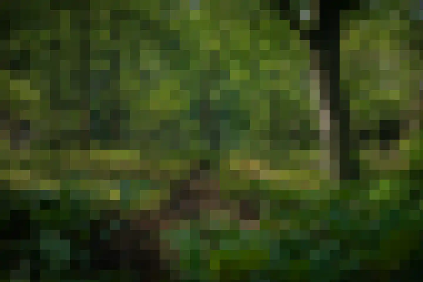 Gortelseweg 35 Vaassen thumbnail 57