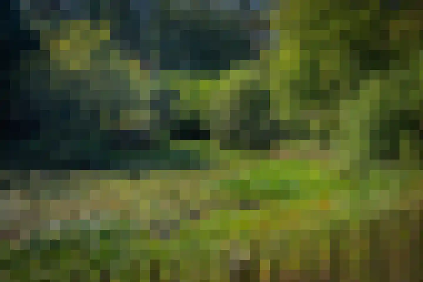 Gortelseweg 35 Vaassen thumbnail 58