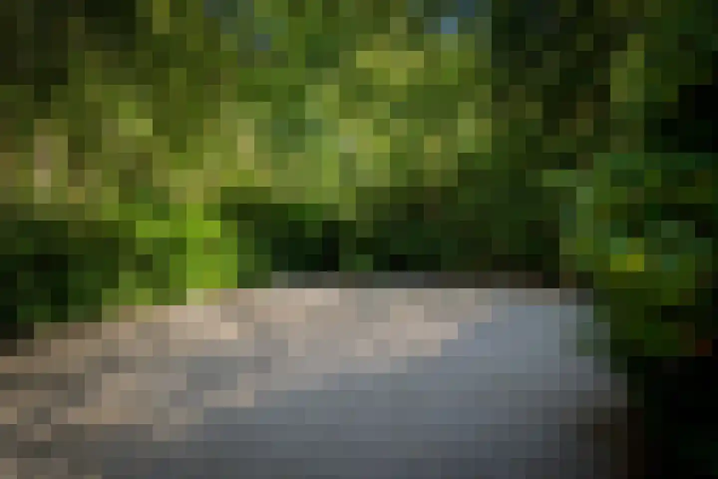 Gortelseweg 35 Vaassen thumbnail 59