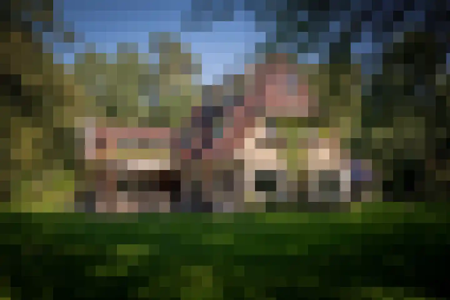 Gortelseweg 35 Vaassen thumbnail 6
