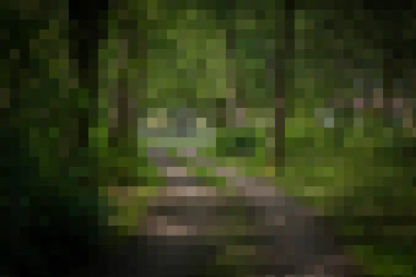 Gortelseweg 35 Vaassen thumbnail 61