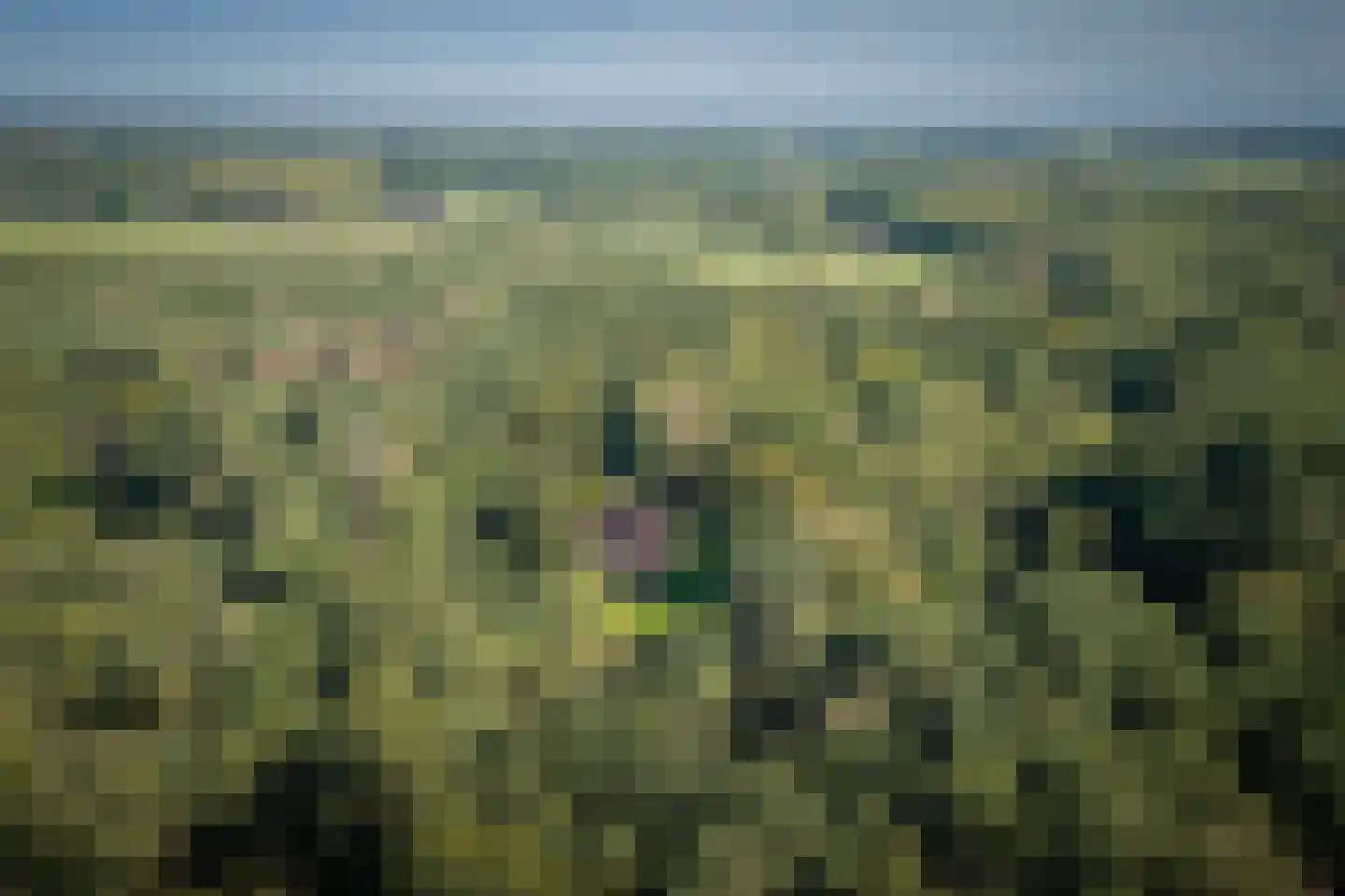 Gortelseweg 35 Vaassen thumbnail 62