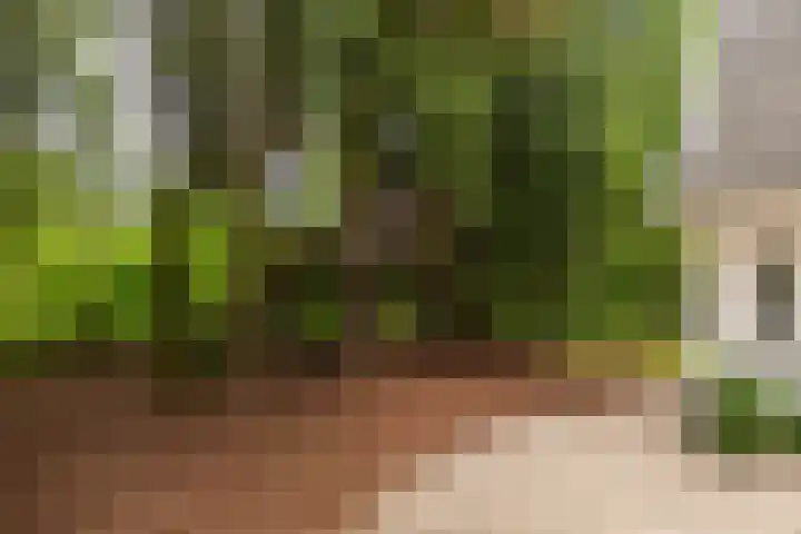 Gortelseweg 79 Vierhouten thumbnail 10