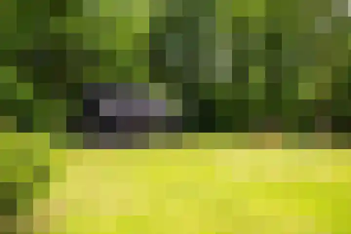 Gortelseweg 79 Vierhouten thumbnail 11