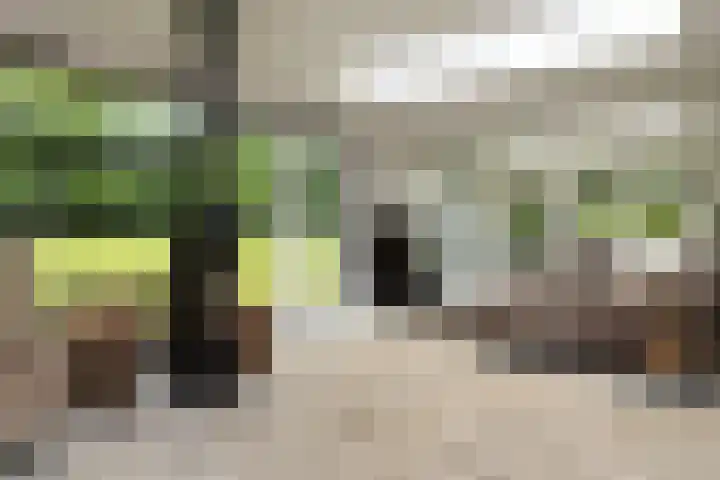 Gortelseweg 79 Vierhouten thumbnail 13