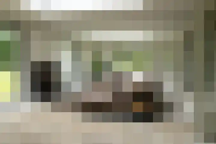 Gortelseweg 79 Vierhouten thumbnail 14