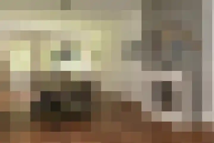 Gortelseweg 79 Vierhouten thumbnail 20