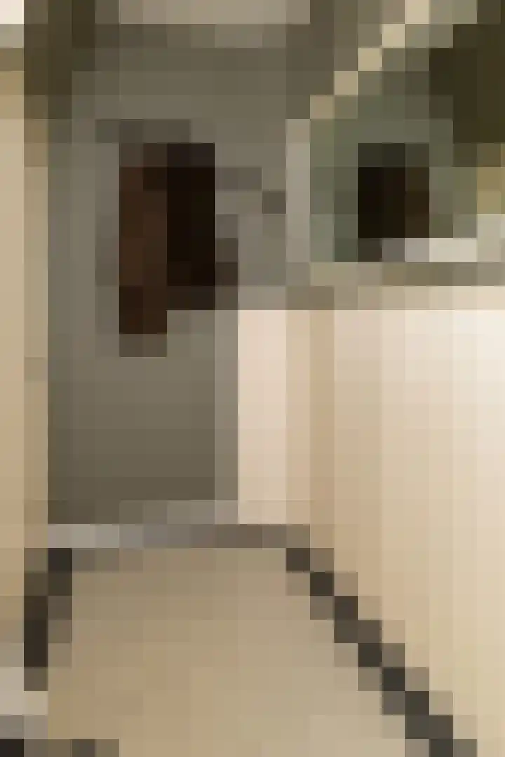 Gortelseweg 79 Vierhouten thumbnail 30