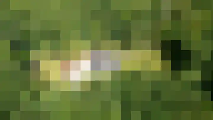 Gortelseweg 79 Vierhouten thumbnail 4