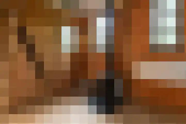 Gortelseweg 79 Vierhouten thumbnail 47