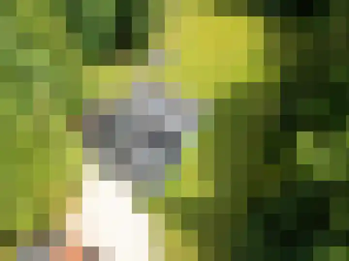 Gortelseweg 79 Vierhouten thumbnail 49