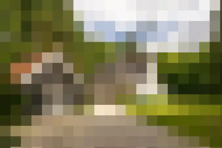 Gortelseweg 79 Vierhouten thumbnail 54