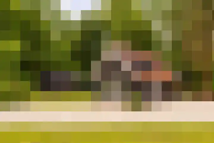Gortelseweg 79 Vierhouten thumbnail 9