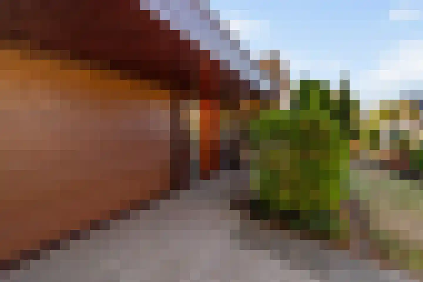 Gorterlaan 1 Roosendaal thumbnail 10