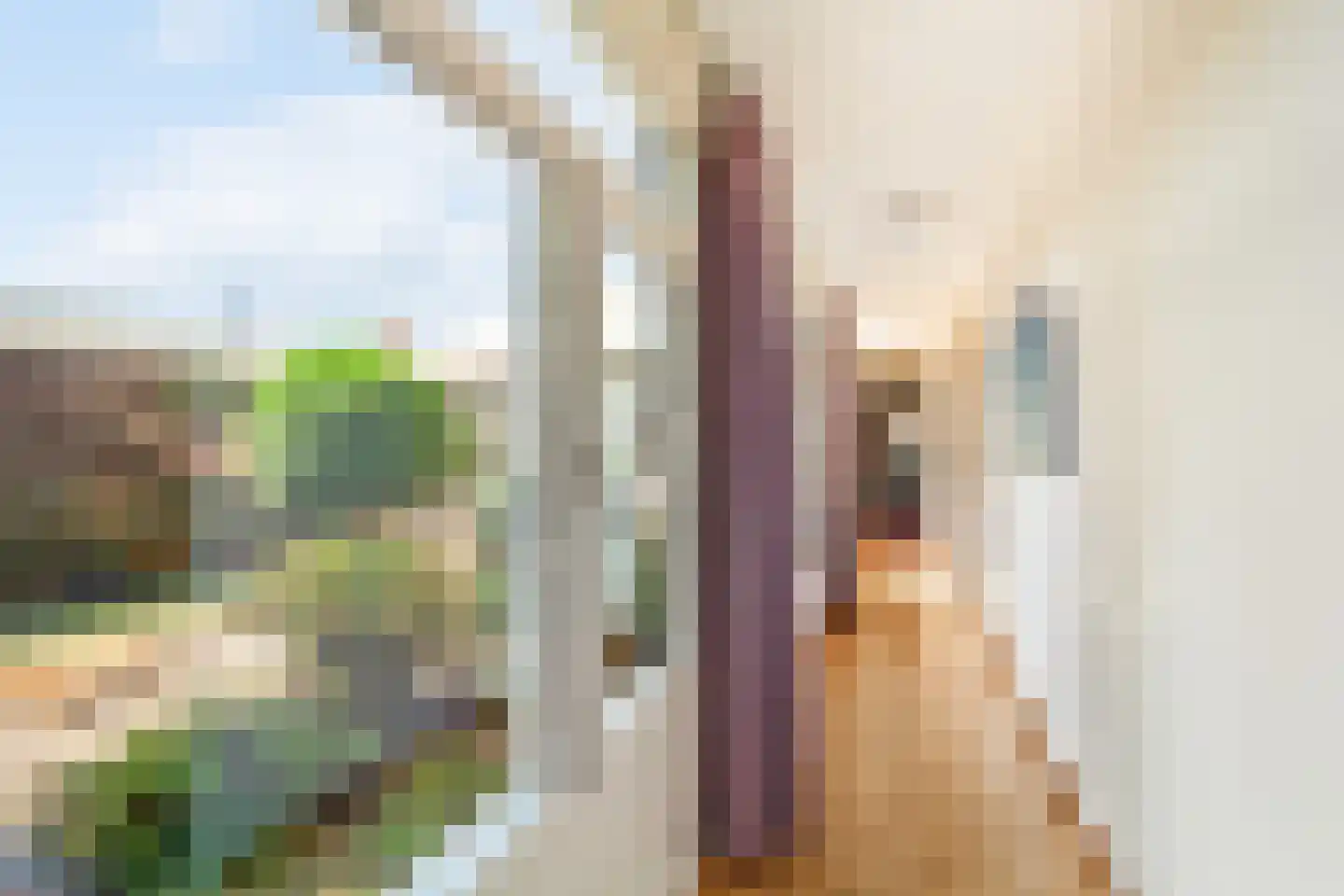 Gorterlaan 1 Roosendaal thumbnail 39