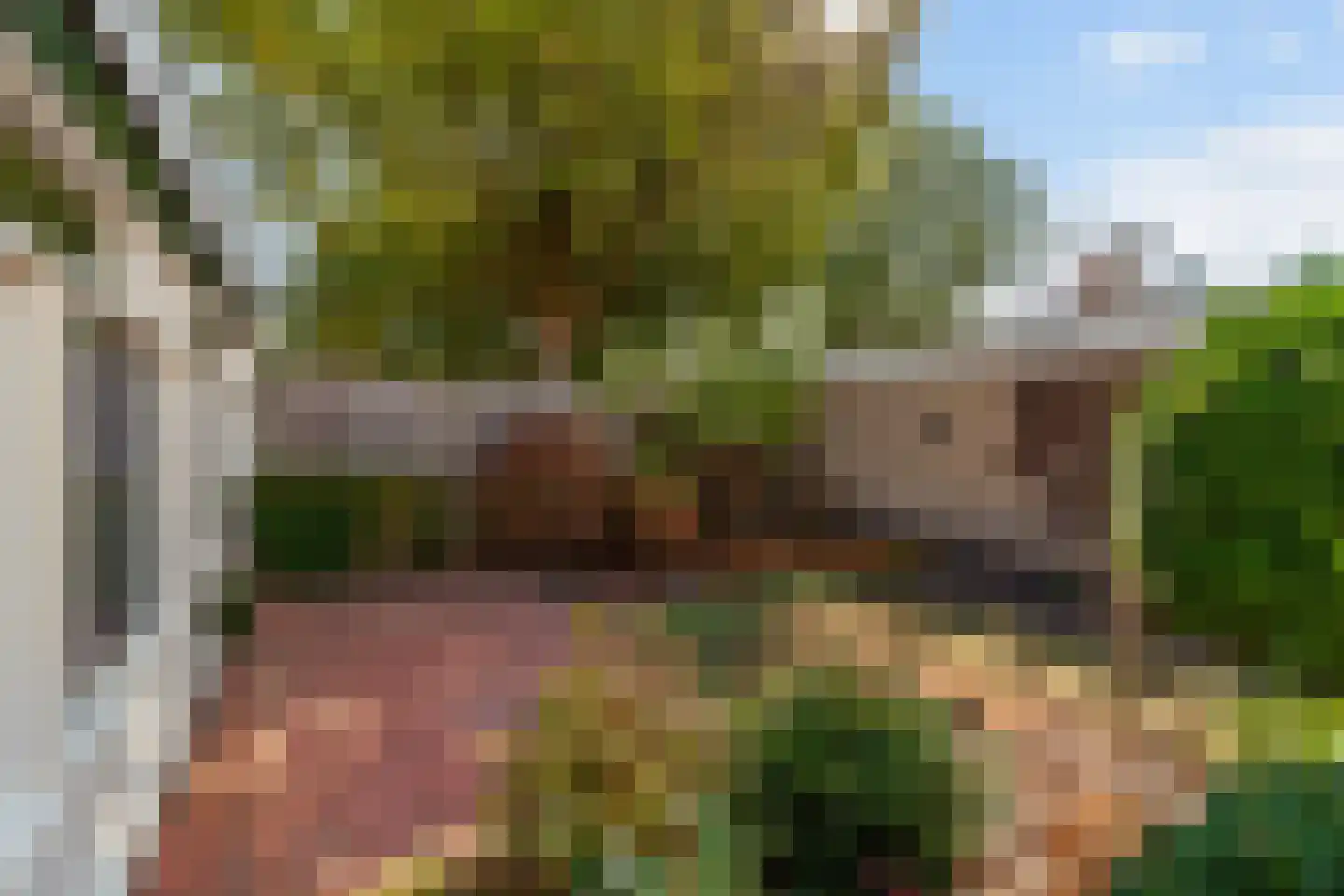 Gorterlaan 1 Roosendaal thumbnail 41