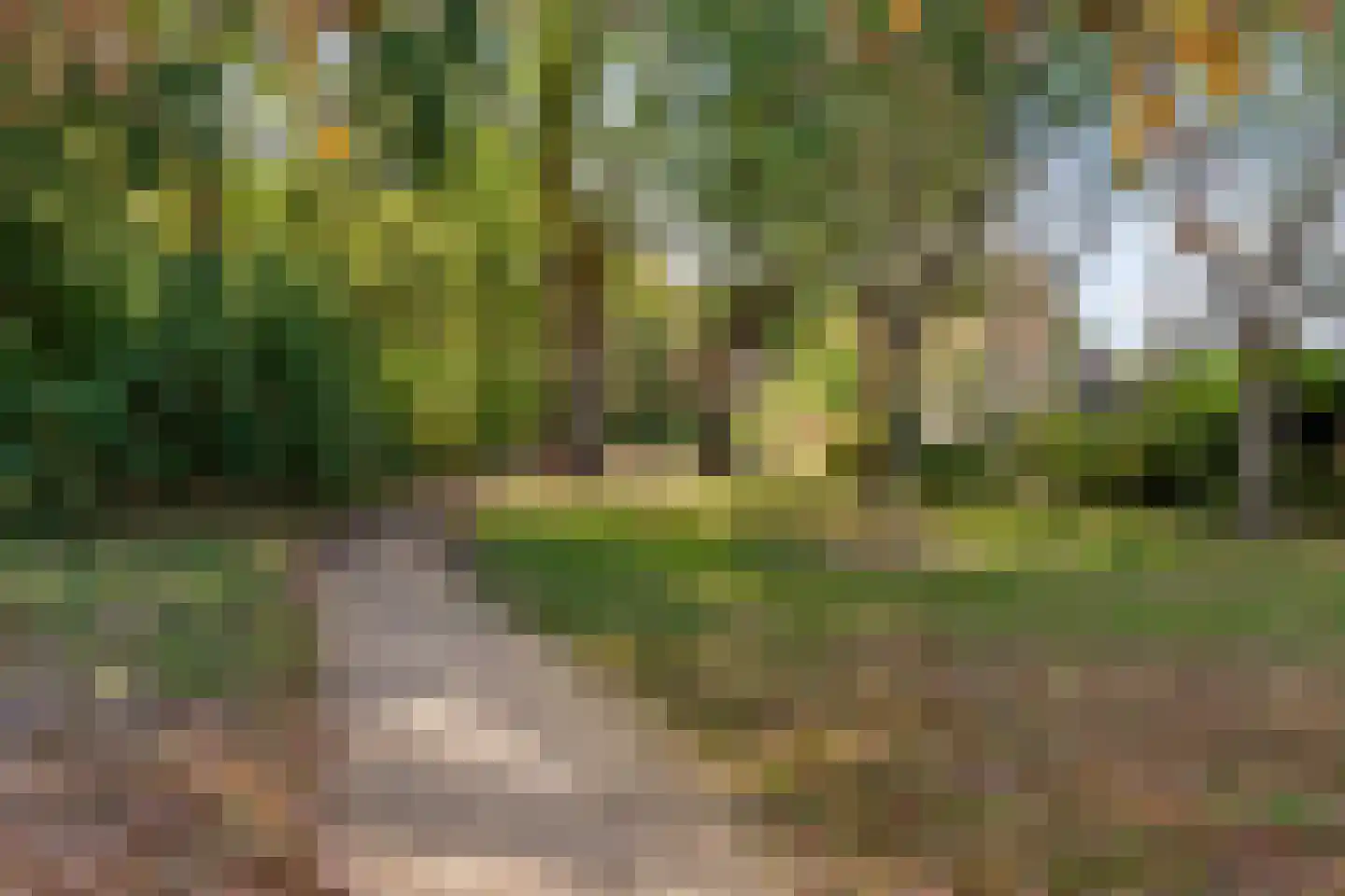 Gorterlaan 1 Roosendaal thumbnail 46