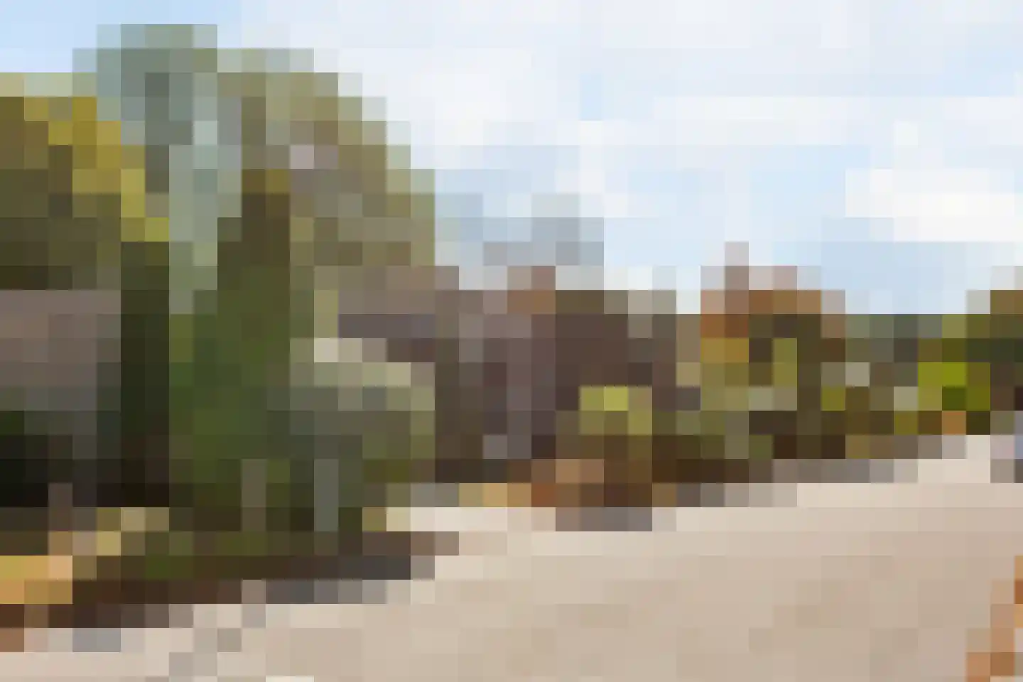Gorterlaan 1 Roosendaal thumbnail 5