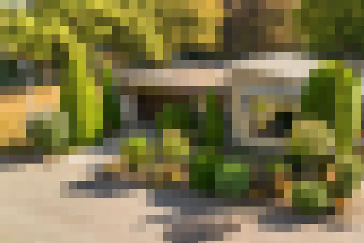 Gorterlaan 1 Roosendaal thumbnail 6