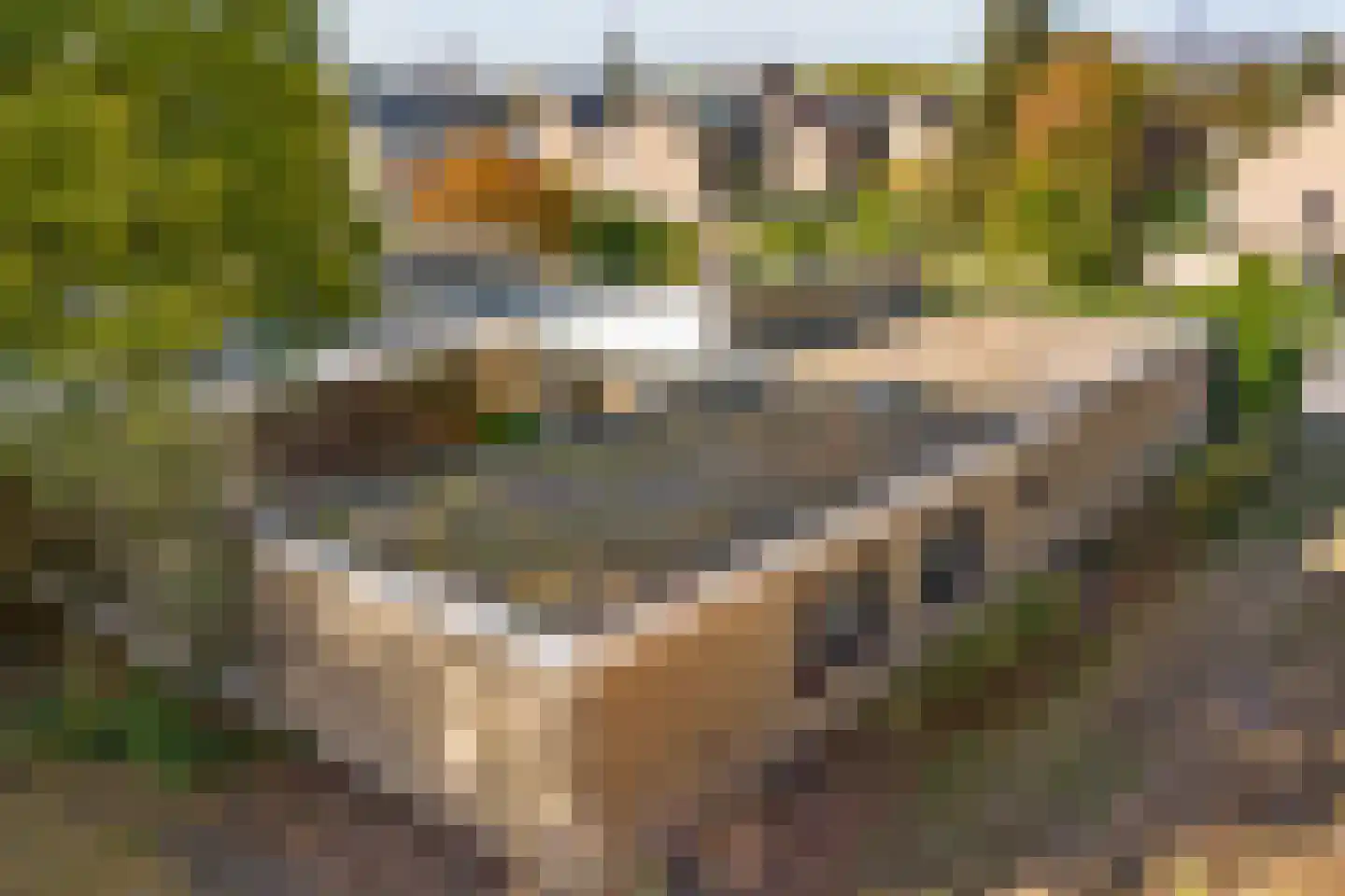 Gorterlaan 1 Roosendaal thumbnail 8
