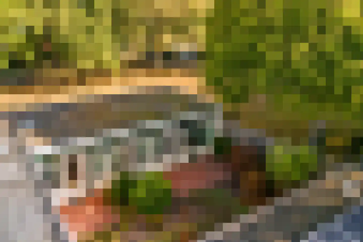 Gorterlaan 1 Roosendaal thumbnail 9