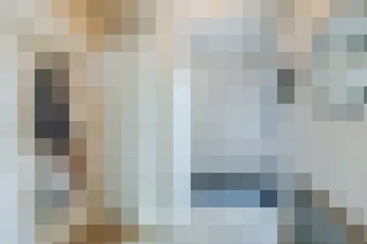 Gorterlaan 12 Bergschenhoek thumbnail 14